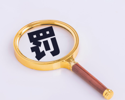 甘肃省庆阳市生态环境局行政处罚决定书庆环（西）罚〔2026〕04号